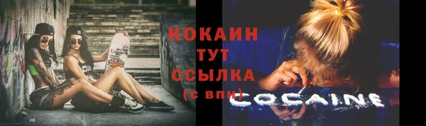 spice Баксан