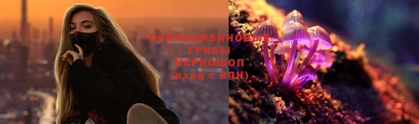 дурь Балахна