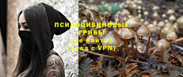 дурь Балахна
