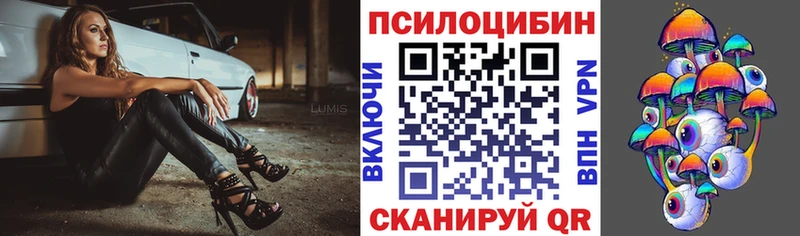 Купить где Борзя Псилоцибиновые грибы Magic Shrooms